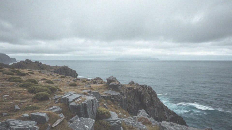 Jakie są roszczenia Argentyny do Falklandów?