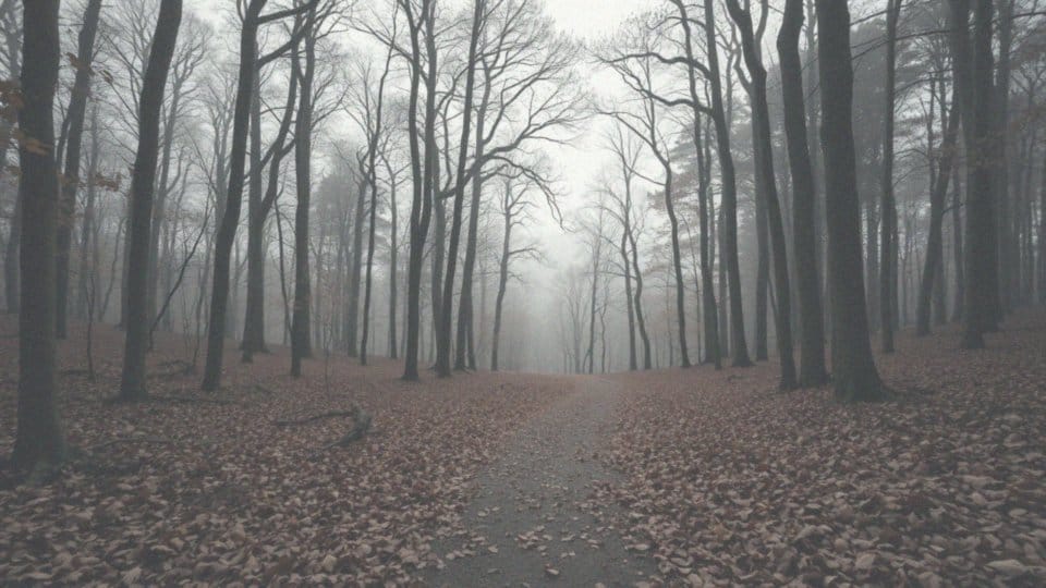 Jakie są zmienne warunki pracy strażnika leśnego?