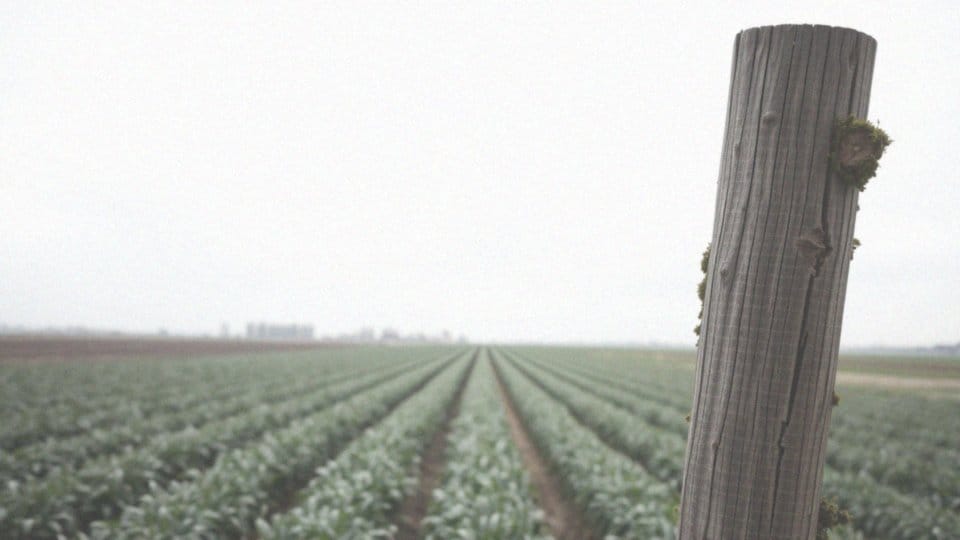 Agenda 2030 – prawdziwe cele zrównoważonego rozwoju