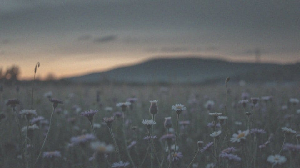 Czy mięśniaki bolą? Objawy i ich wpływ na zdrowie kobiet
