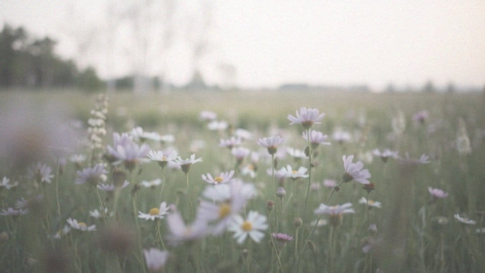 Czy mięśniaki się usuwa? Wszystko, co musisz wiedzieć