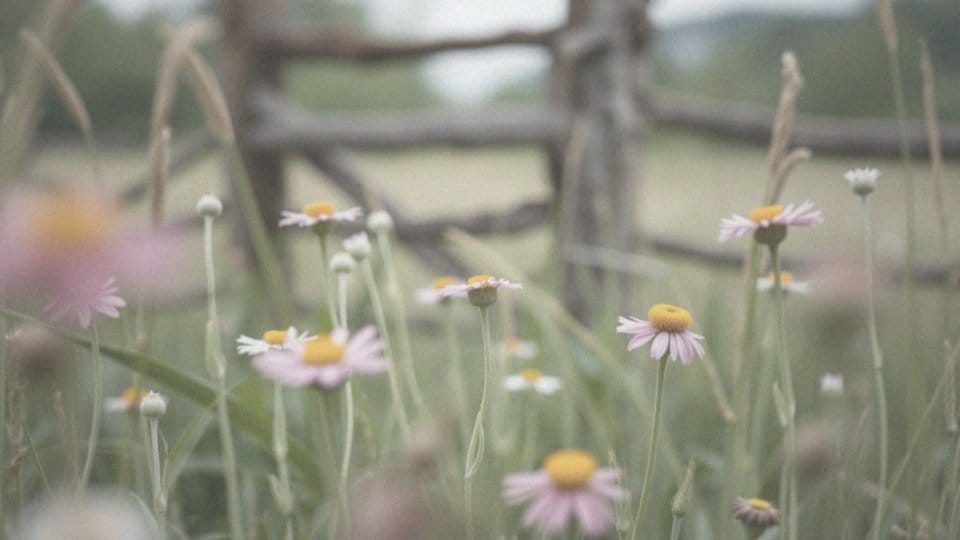 Czy zaćma jest dziedziczna? Przyczyny i czynniki ryzyka