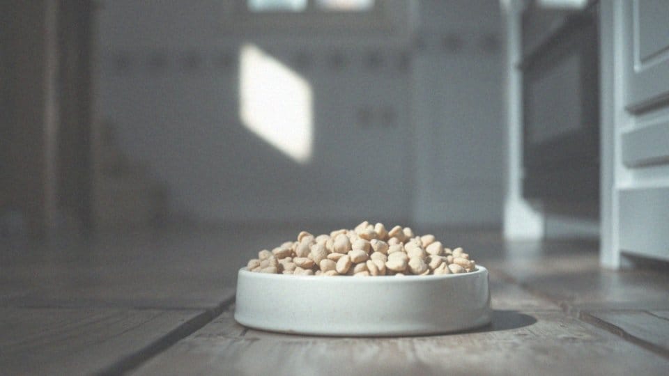 Jak długo żyje pies z chorą trzustką? Zrozumienie problemu