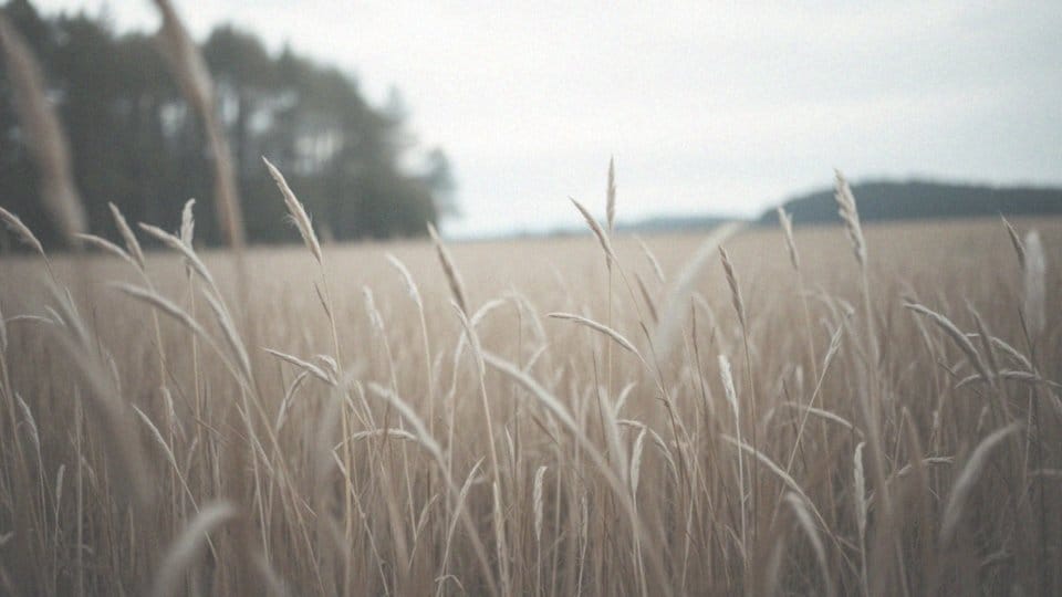 Jaki nowotwór powoduje swędzenie skóry? Objawy i diagnostyka