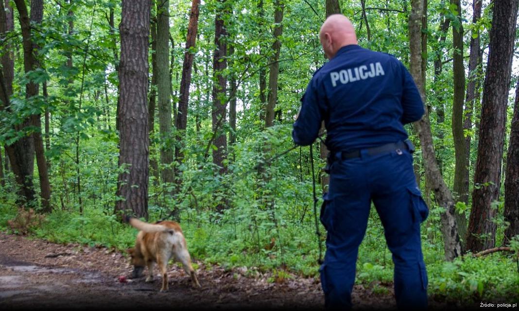 Zwiększenie prędkości pociągów pasażerskich w powiecie wschowskim