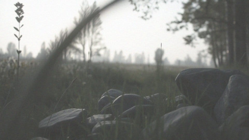 Skutki nieleczonych mięśniaków – co warto wiedzieć?