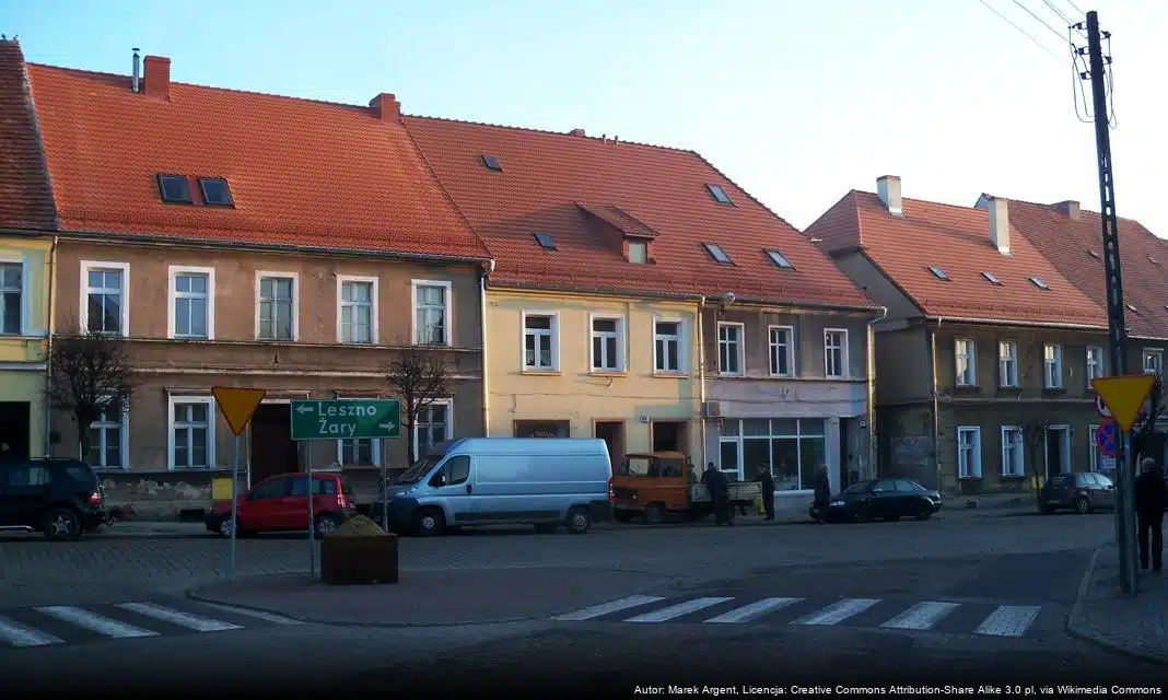 Ogłoszenie o ofertach na „Specjalistyczną usługę usprawniającą” w 2026 roku