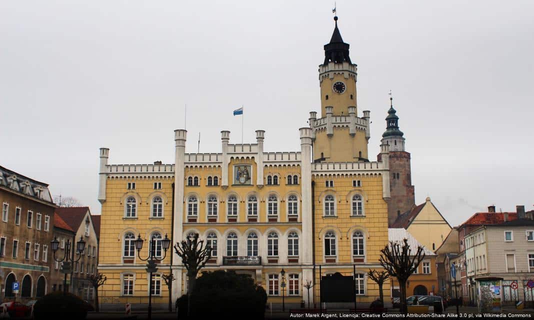 Rajd Samochodowy z okazji Narodowego Święta Niepodległości w Gminie Wschowa