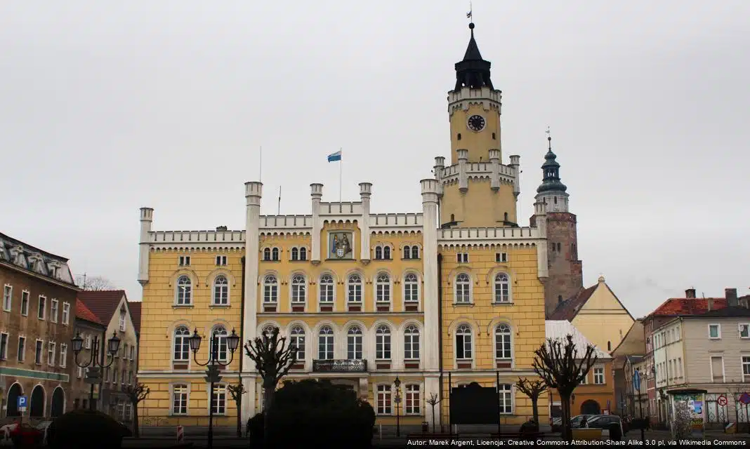 Owca z Przyczyny Górnej wciąż szuka nowego domu