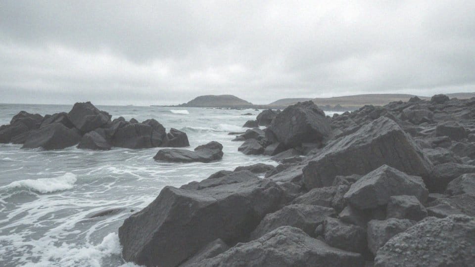 Wojna o Falklandy – ciekawostki i najważniejsze wydarzenia konfliktu