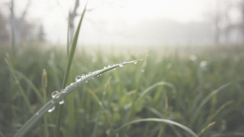 Zaćma w młodym wieku – przyczyny, objawy i metody leczenia